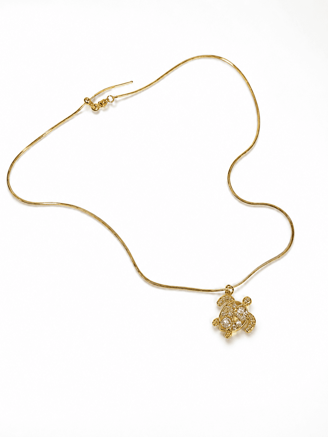 Collar tortuga - Vista 1