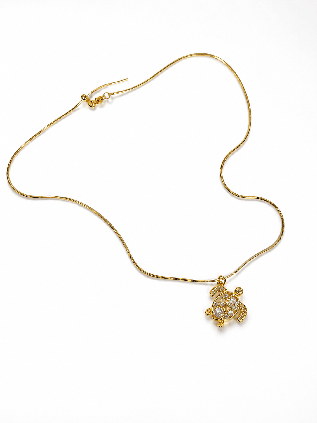 Collar tortuga - Vista 1